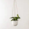 Convivial New Arrivals Arched Stoneware Hanging Planter