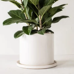 Convivial Minimal Stoneware Planter