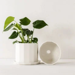 Convivial Riveted Porcelain Planter