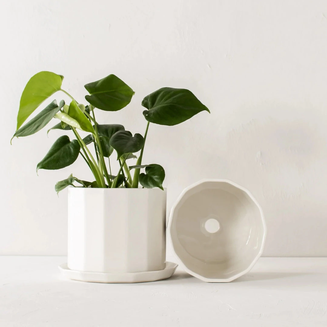 Convivial Riveted Porcelain Planter 4 Convivial Riveted Porcelain Planter