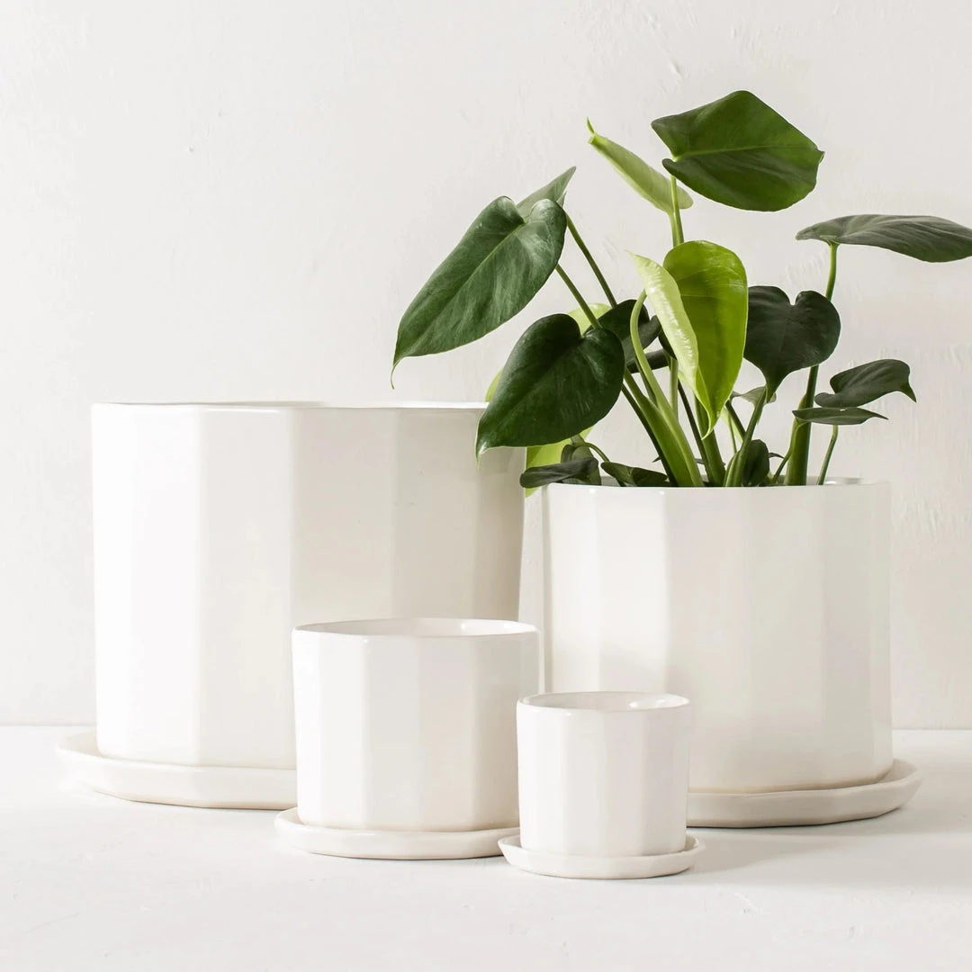 Convivial Riveted Porcelain Planter 8 Convivial Riveted Porcelain Planter