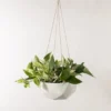 Convivial New Arrivals Geometric Porcelain Hanging Planter