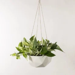 Convivial New Arrivals Geometric Porcelain Hanging Planter