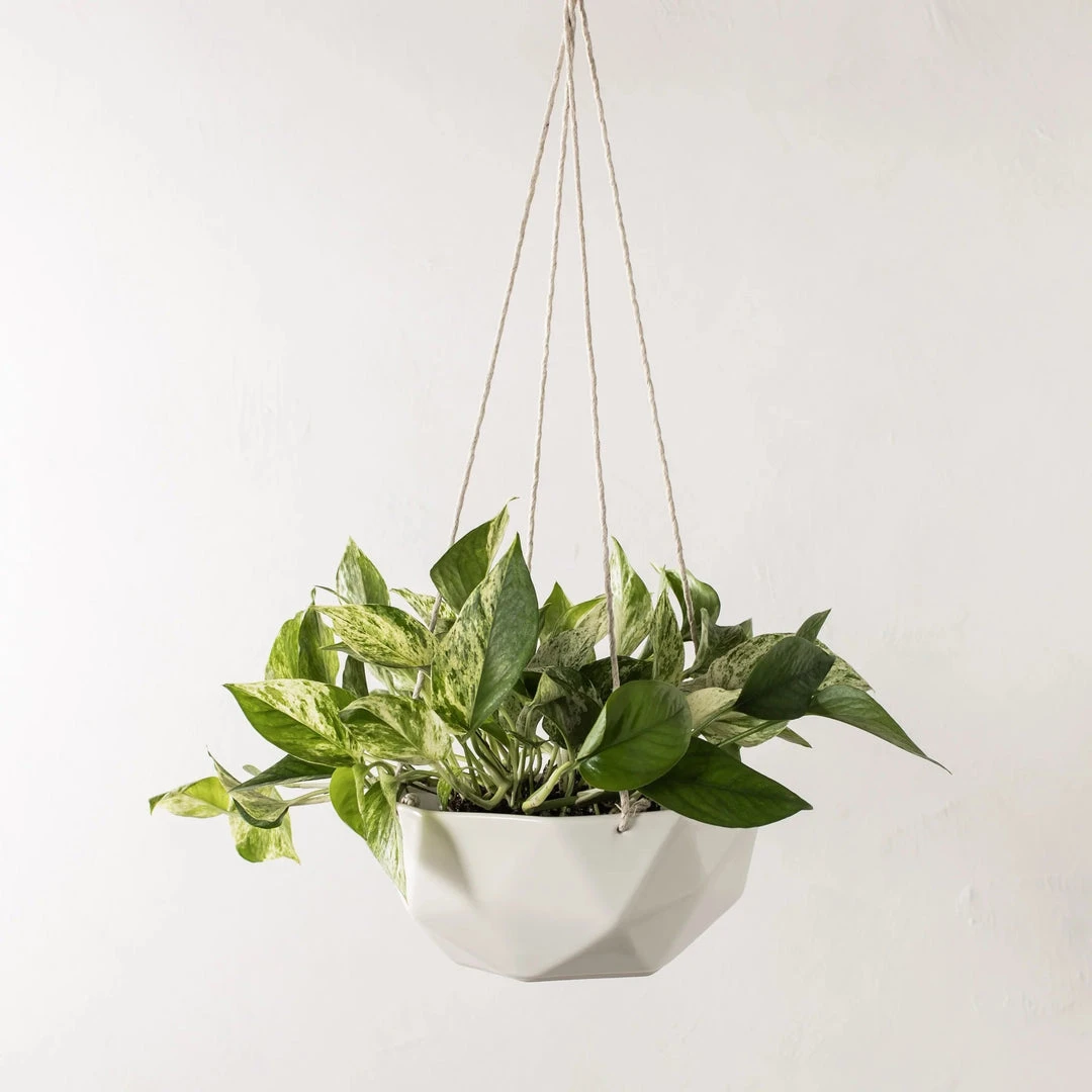 Convivial New Arrivals Geometric Porcelain Hanging Planter 3 Convivial New Arrivals Geometric Porcelain Hanging Planter