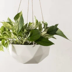 Convivial New Arrivals Geometric Porcelain Hanging Planter 9 Convivial New Arrivals Geometric Porcelain Hanging Planter