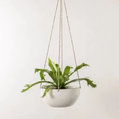 Convivial Minimal Stoneware Hanging Planter New Arrivals