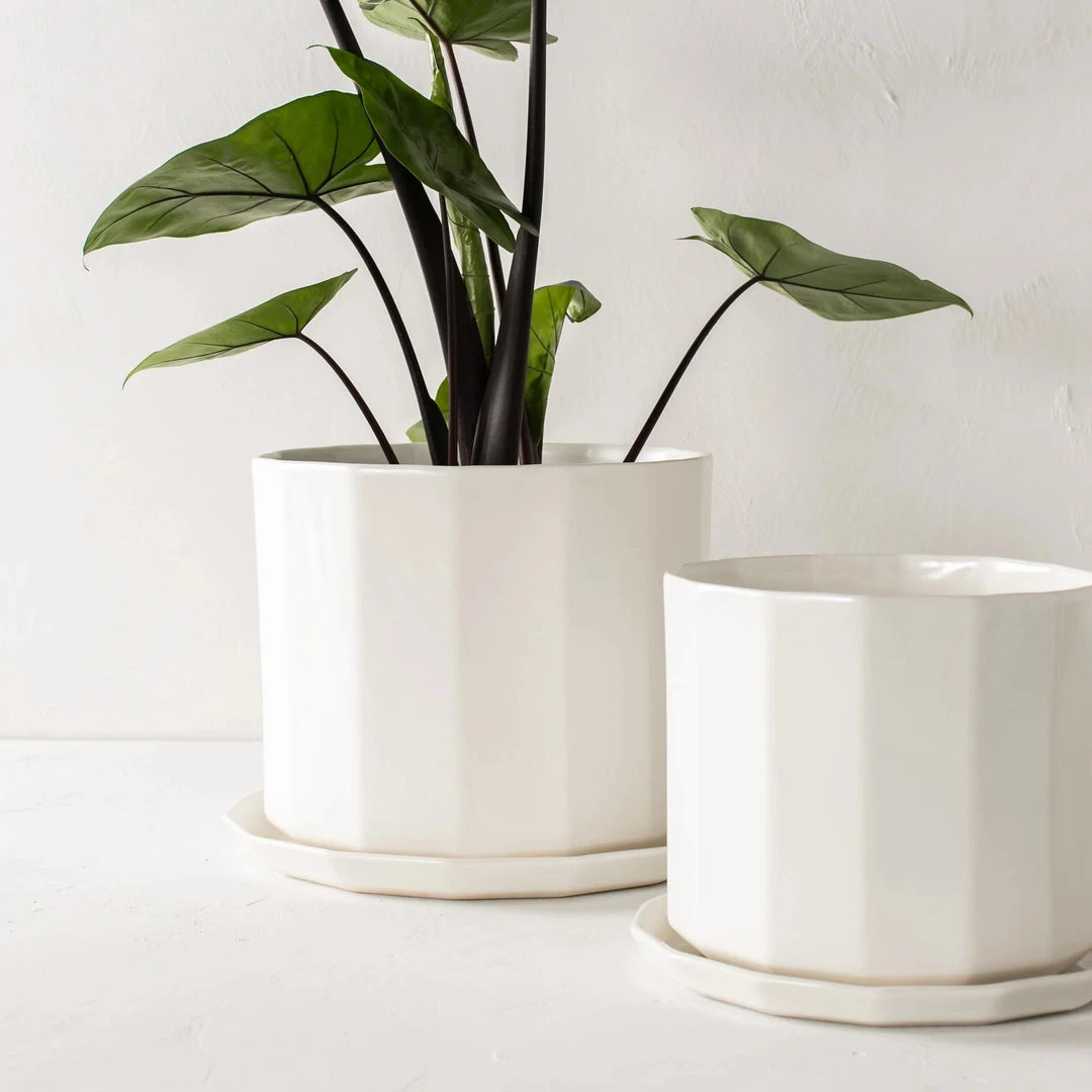 Convivial Riveted Porcelain Planter 5 Convivial Riveted Porcelain Planter