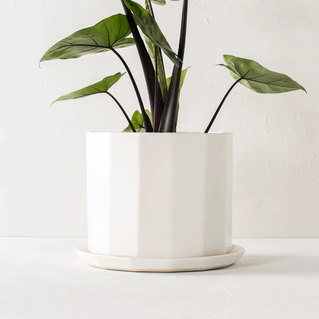 Convivial Riveted Porcelain Planter 7 Convivial Riveted Porcelain Planter