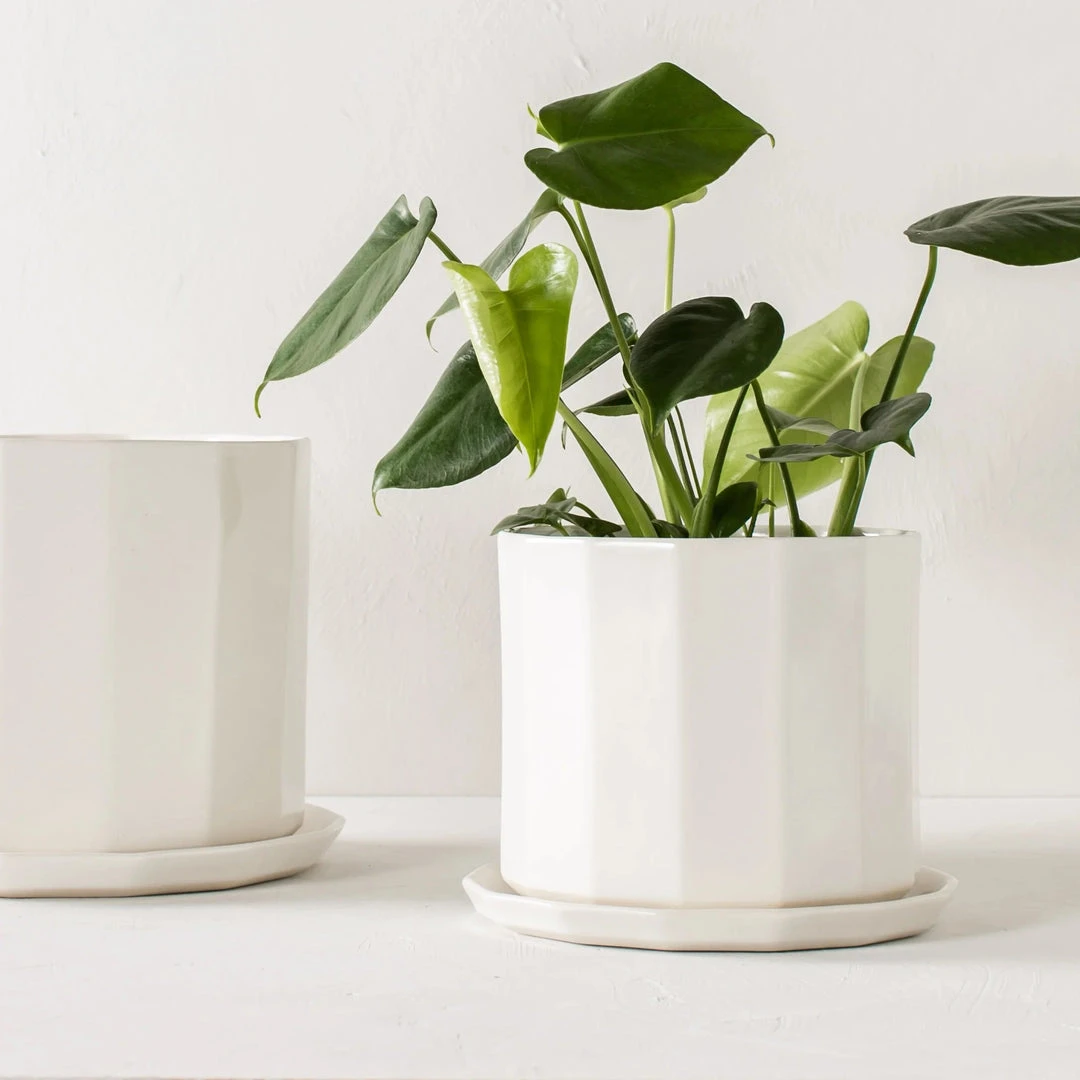 Convivial Riveted Porcelain Planter 6 Convivial Riveted Porcelain Planter