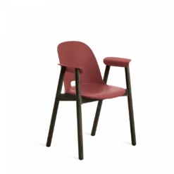 Emeco Furniture Alfi Recycled Armchair - Dark Ash