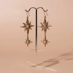 Iron Oxide Special Occasion Polaris Earrings