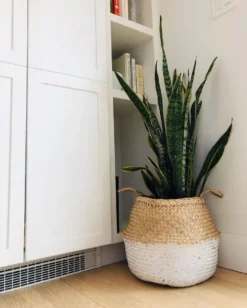 Amante Marketplace Kophinos Basket - White Dipped Best Sellers