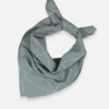 Anchal Best Sellers Graph Bandana - Spruce