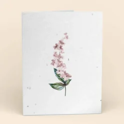 Cute Root Greeting Cards Assorted Botanical Plantable Cards - 8 Pack 16 Cute Root Greeting Cards Assorted Botanical Plantable Cards - 8 Pack