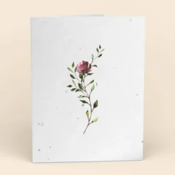 Cute Root Greeting Cards Assorted Botanical Plantable Cards - 8 Pack 18 Cute Root Greeting Cards Assorted Botanical Plantable Cards - 8 Pack