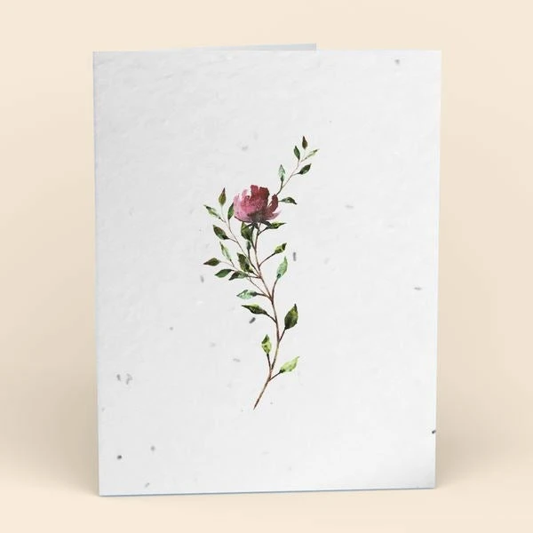 Cute Root Greeting Cards Assorted Botanical Plantable Cards - 8 Pack 7 Cute Root Greeting Cards Assorted Botanical Plantable Cards - 8 Pack
