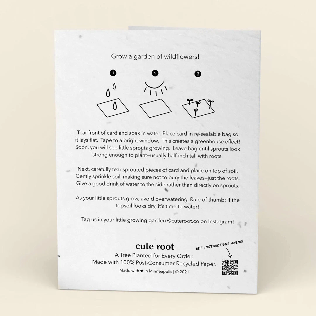 Cute Root Greeting Cards Assorted Botanical Plantable Cards - 8 Pack 8 Cute Root Greeting Cards Assorted Botanical Plantable Cards - 8 Pack