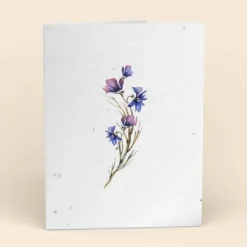 Cute Root Greeting Cards Assorted Botanical Plantable Cards - 8 Pack