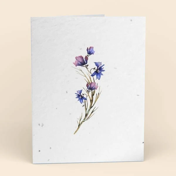 Cute Root Greeting Cards Assorted Botanical Plantable Cards - 8 Pack 3 Cute Root Greeting Cards Assorted Botanical Plantable Cards - 8 Pack