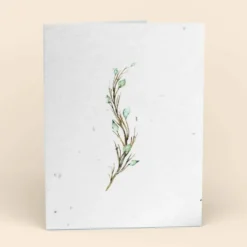 Cute Root Greeting Cards Assorted Botanical Plantable Cards - 8 Pack 17 Cute Root Greeting Cards Assorted Botanical Plantable Cards - 8 Pack