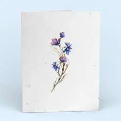 Cute Root Greeting Cards Assorted Botanical Plantable Cards - 8 Pack 23 Cute Root Greeting Cards Assorted Botanical Plantable Cards - 8 Pack