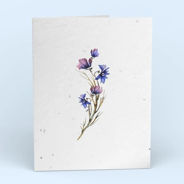 Cute Root Greeting Cards Assorted Botanical Plantable Cards - 8 Pack 12 Cute Root Greeting Cards Assorted Botanical Plantable Cards - 8 Pack