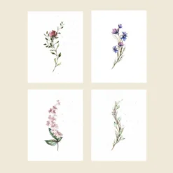 Cute Root Greeting Cards Assorted Botanical Plantable Cards - 8 Pack