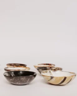 August Sage Best Sellers Ankole Horn Bowl - Light