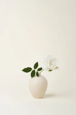 August Sage Sofia Oval Bud Vase - Tierra Home Goods