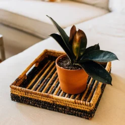 Azizi Life Parker Banana Leaf Trays