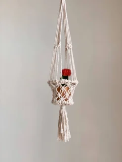 Ceremonia Best Sellers Plant Hanger Basket - Cream