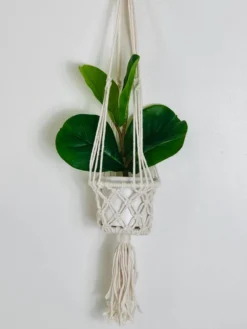 Ceremonia Best Sellers Plant Hanger Basket - Cream