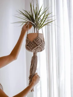 Ceremonia Darling Macramé Plant Hanger - Cafecito