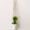 Ceremonia Best Sellers Small Macramé Plant Hanger