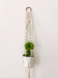 Ceremonia Best Sellers Small Macramé Plant Hanger