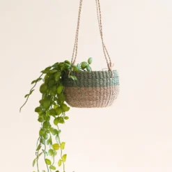 LIKHÂ Colorblock Hanging Planter Basket Home Goods