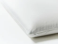 Coyuchi Latex Molded Pillow