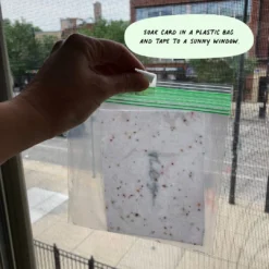 Cute Root Greeting Cards Assorted Botanical Plantable Cards - 8 Pack 20 Cute Root Greeting Cards Assorted Botanical Plantable Cards - 8 Pack