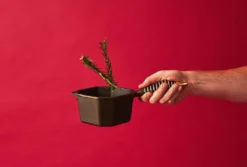 FINEX Cast Iron 1 Quart Sauce Pot Home Goods