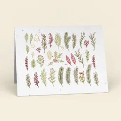 Cute Root Holiday Leaves Plantable Cards - 10 Pack