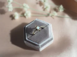 Iron Oxide Polaris Ring Special Occasion