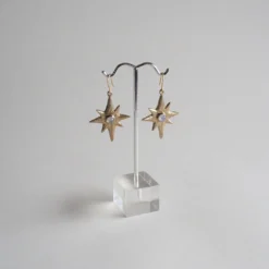 Iron Oxide Polaris Single-Star Earrings