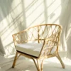 Amara Jaali Rattan Chair Staff Favorites