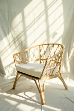 Amara Jaali Rattan Chair Staff Favorites