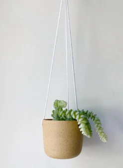 Katie Mudd Best Sellers Natural Stoneware Hanging Planter