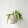 Katie Mudd Best Sellers Hanging Stoneware Planter - White 2 Katie Mudd Best Sellers Hanging Stoneware Planter - White