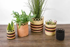 KAZI Home Goods Small Mod Rainbow Hooped Planter