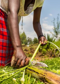 KAZI Small Silver Blue Biko Round Basket