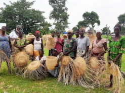 KAZI Home Goods All Natural Camel Hump Birdhouse