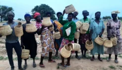 KAZI All Natural Lace Vase I